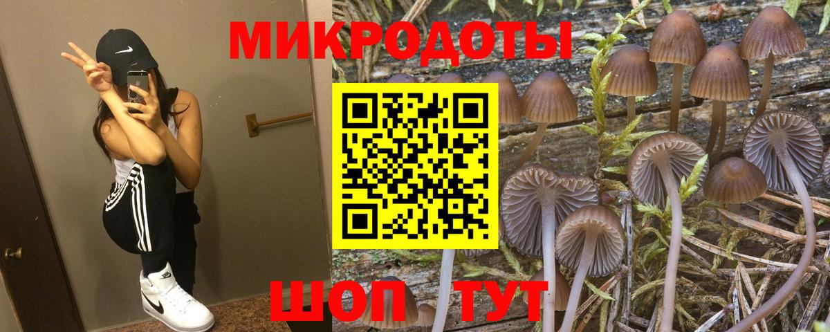 Псилоцибиновые грибы MAGIC MUSHROOMS  Псилоцибиновые грибы прущие грибы  Лесной  Вход с VPN 